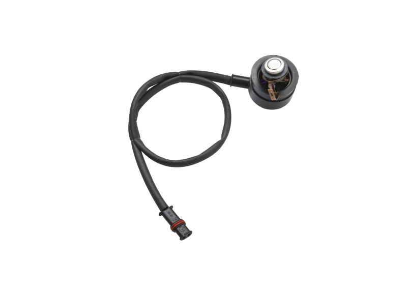 9025066AET Temp.begrenzer Th90ST AM (Volvo)