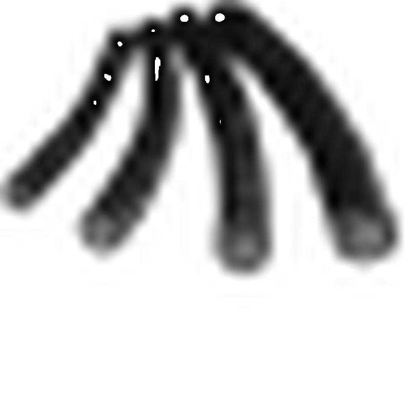 6290010G2GRS21AKaeltemittelschlauch REF 1/2 zoll L=20m